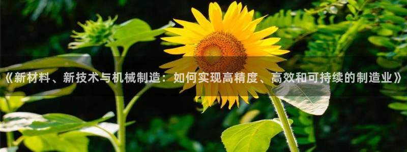 pg电子在线官网