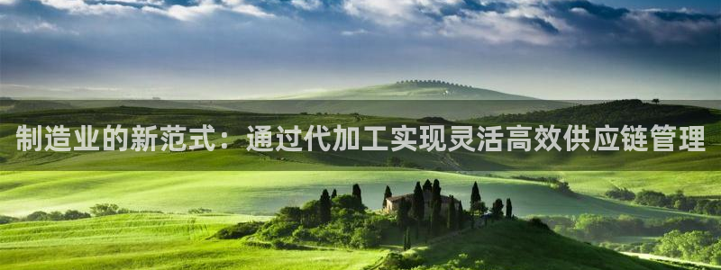 pg电子输了几百万