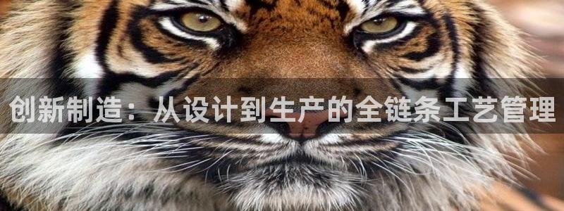 免费pg电子试玩模拟器