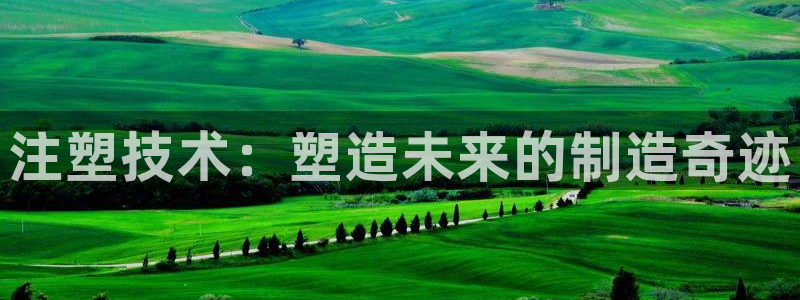 pg电子在线下载