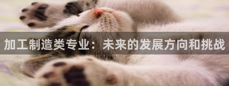 pg电子俱乐部是什么