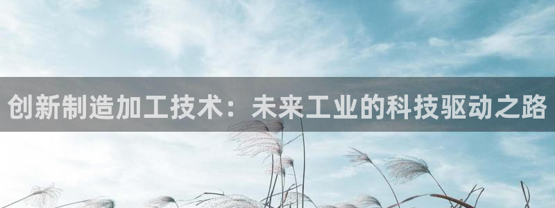 pg电子正规apo