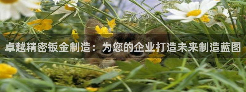 电子pg游戏最高爆分