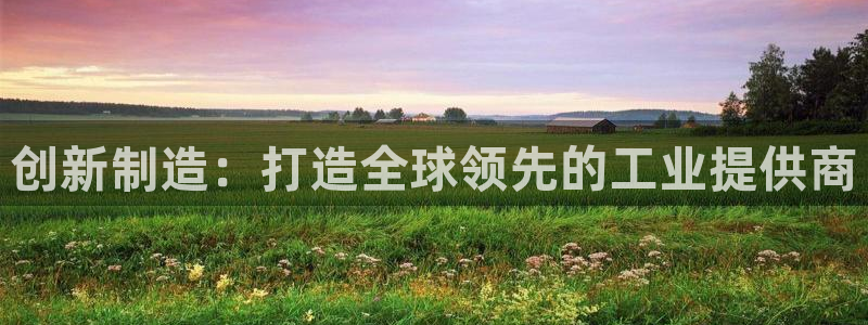手机上的电子PG