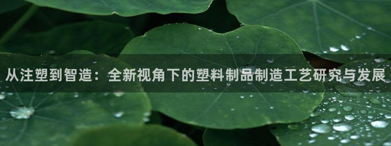 pg电子网站大平台