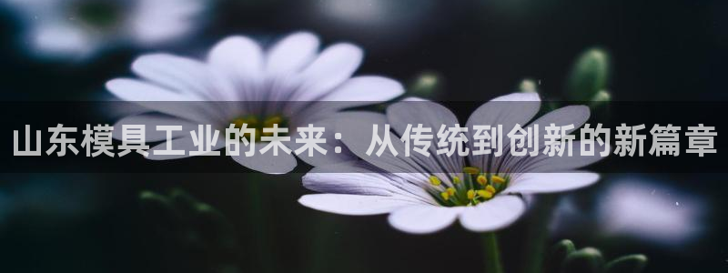 多闪娱乐电子pg