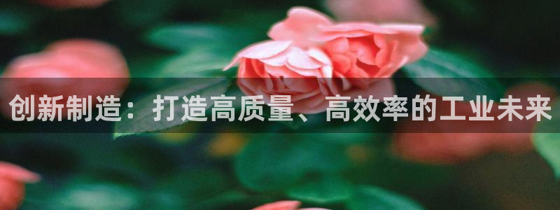 pg电子游艺加速器
