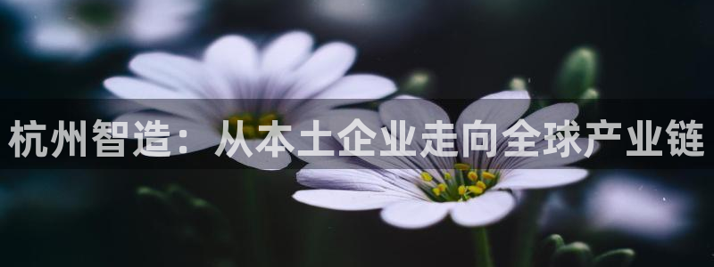 pg电子游戏模拟器