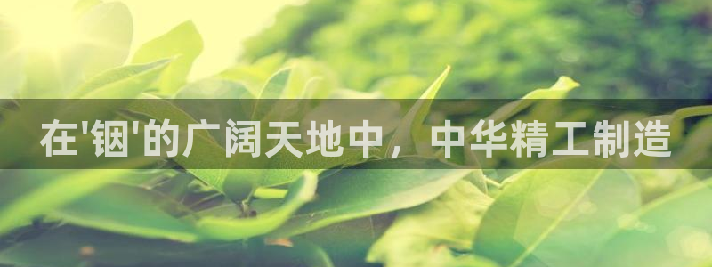 pg电子麻将胡啦