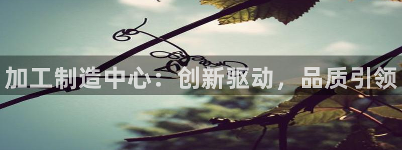 pg掉毛电子说明书