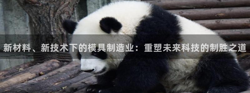 能赢钱的pg电子游戏