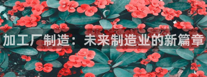 pg 电子