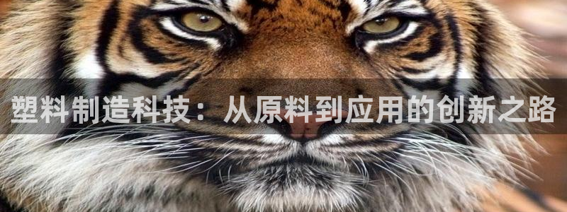 pg雪崩 电子说明书