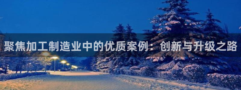 Kok里pg电子维护