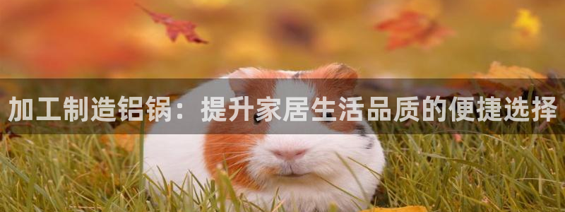 pg电子哪个好爆