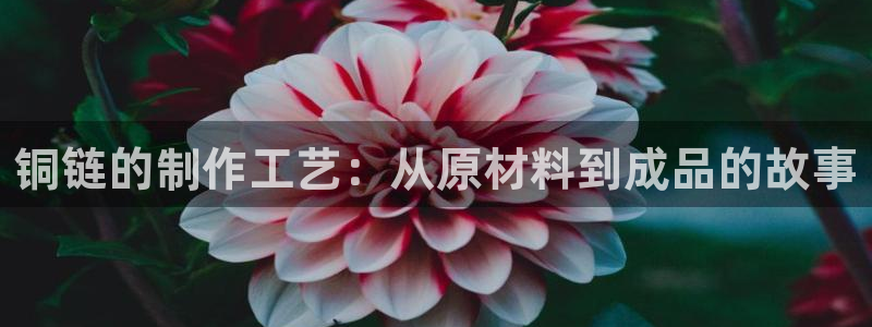 pg电子游戏国外官网