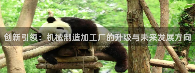 澳门pg电子网站
