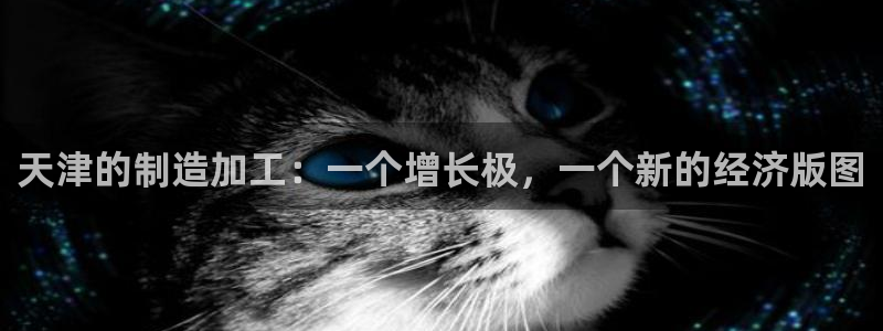 pg电子视频专区