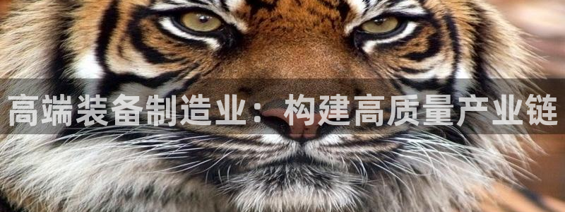 麻将胡了2pg电子下载