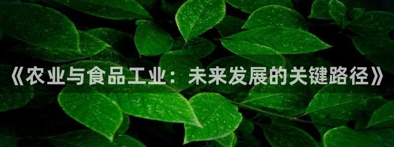 PG电子官方入口