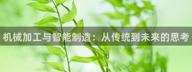 pg电子什么游戏好打
