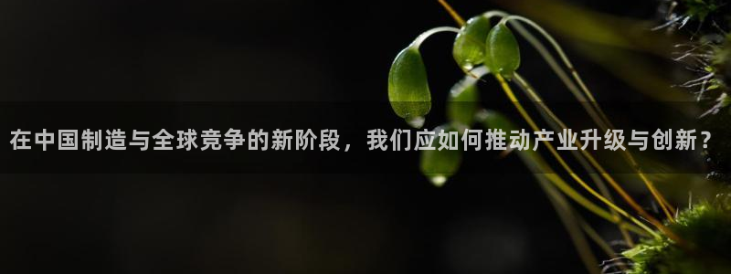 PG电子官方入口