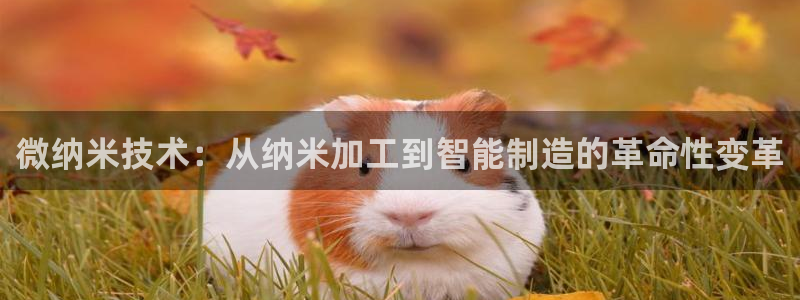 PG电子爆分高的游戏