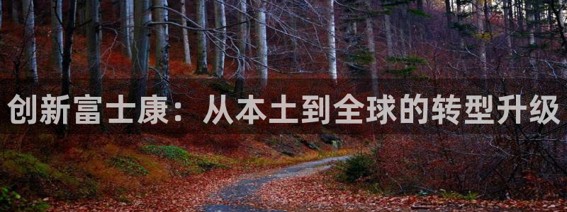 PG报丧说明书电子版