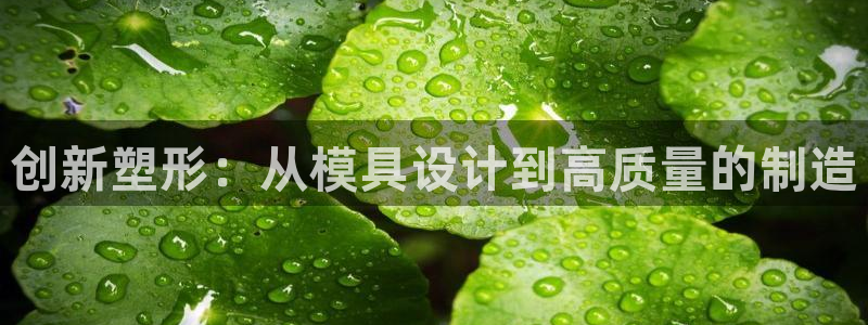 pg掉毛电子说明书