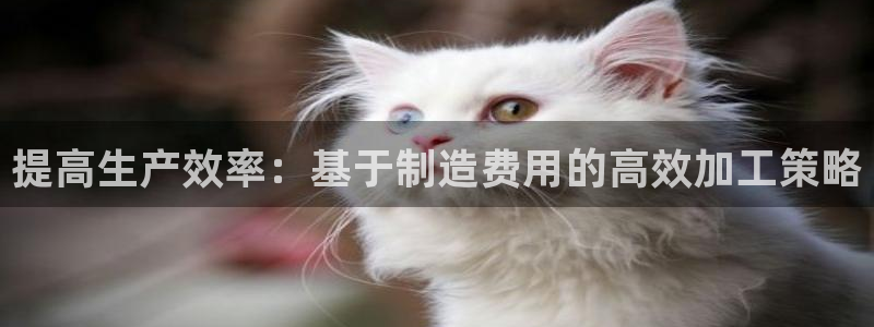怎么登录pg电子游戏