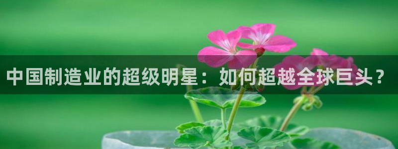 pg电子游戏火树赢花