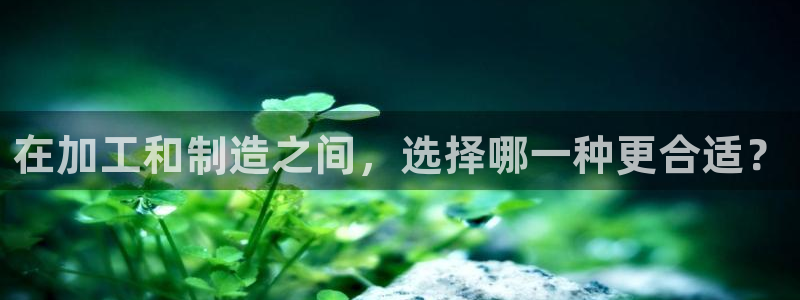 pg电子招财猫游戏爆分