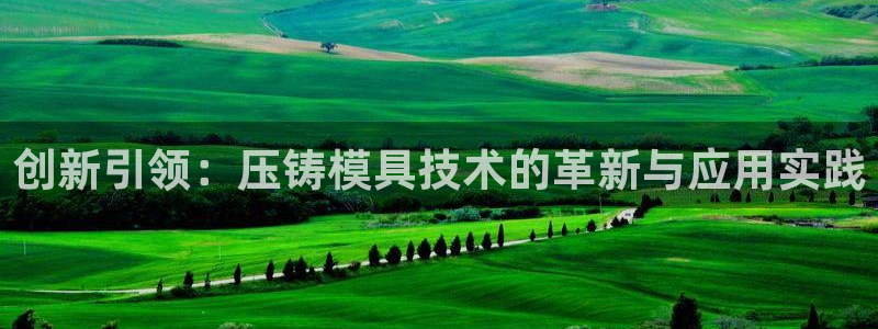 pg电子斗鸡