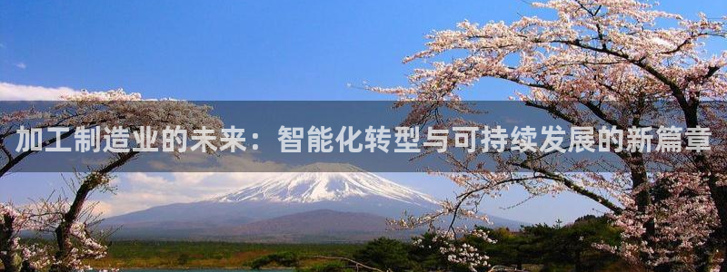 pg电子游戏试玩模式