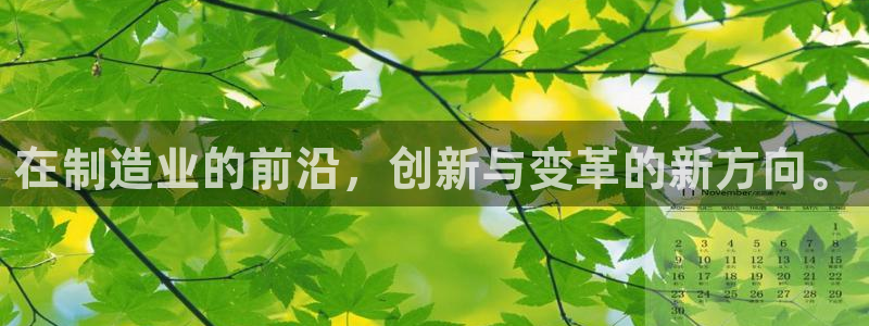 pg电子怎么来的