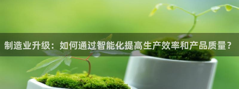 pg电子嘉年华暴分视频