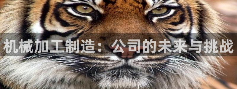 十年安全老品牌pg电子