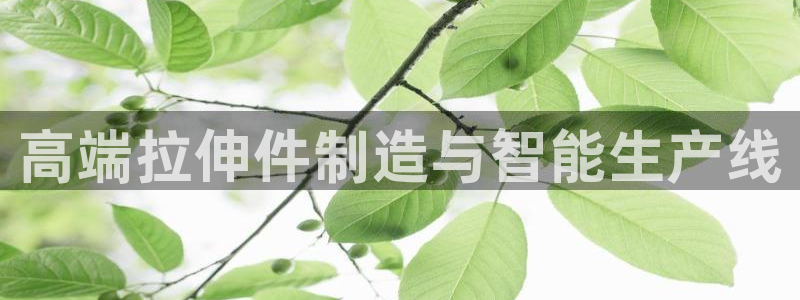 pg电子麻将胡牌规则