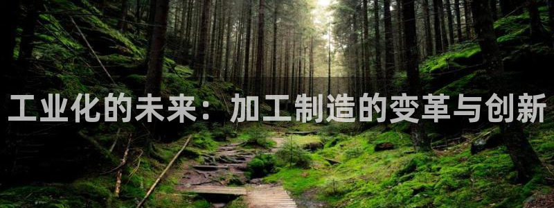 手机上的电子PG