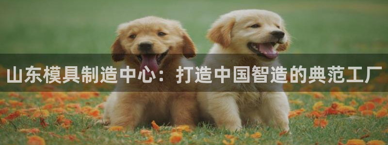 体育娱乐pg电子