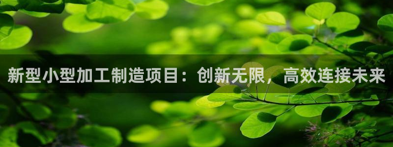 pg电子什么游戏好赢