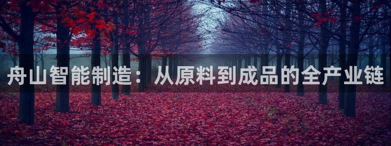 必发集团pg电子