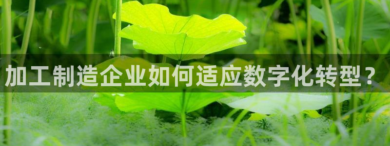 pg电子赏金女王技巧