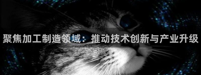 pg电子APP下载首页