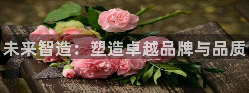 pg电子斗鸡爆分