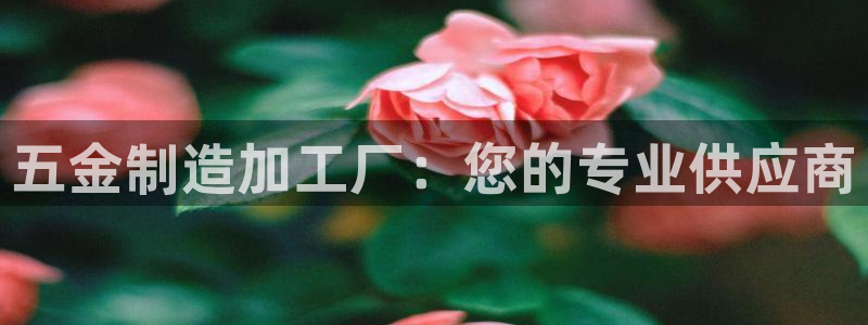 pg电子在线下载