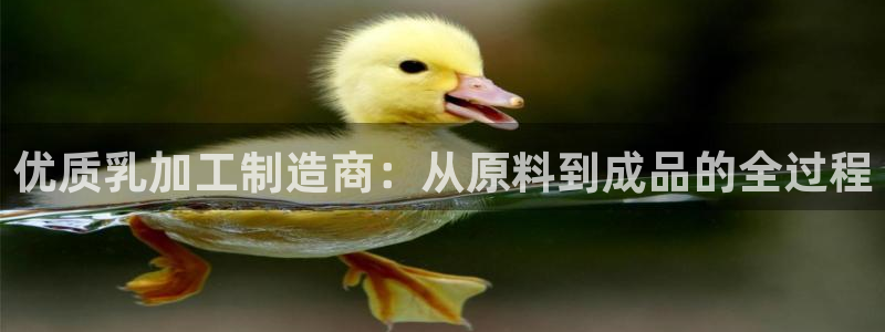 pg电子试玩地址