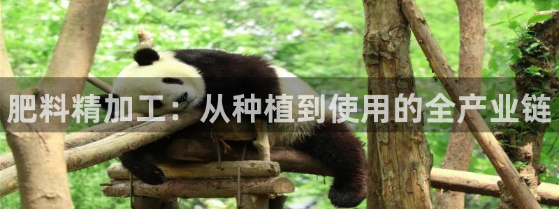 pg电子老是进不去