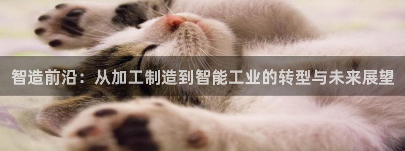 能赢钱的pg电子游戏