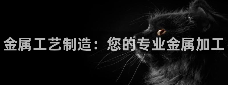 pg电子比基尼天堂试完